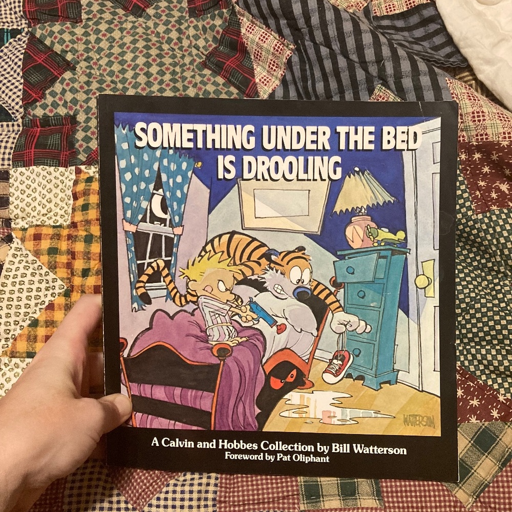 Calvin and Hobbes comic book collection